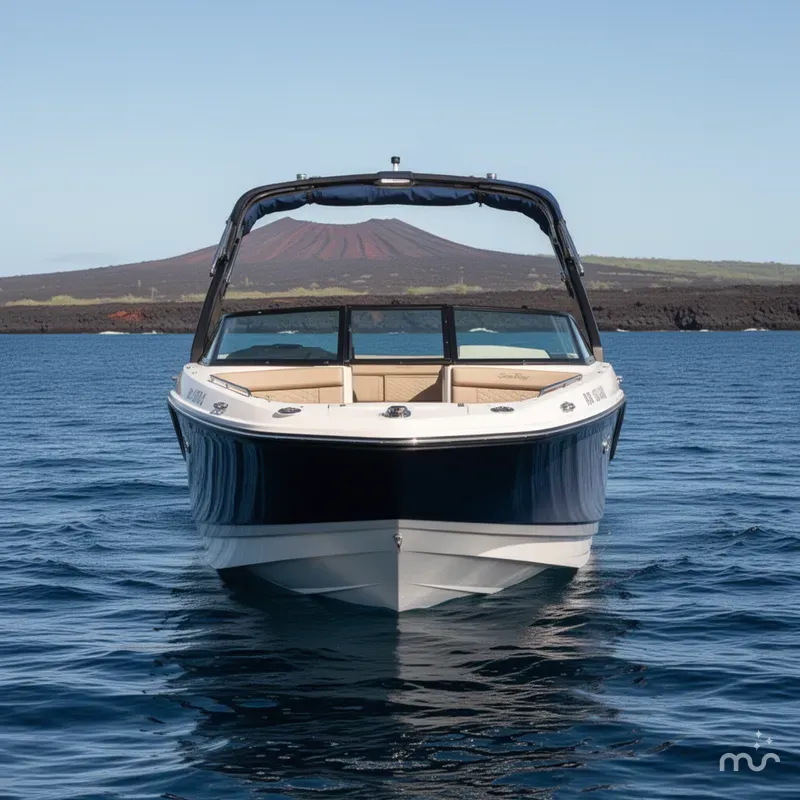 Slide: The Image of Sea Ray SDX 270 2018 - 1