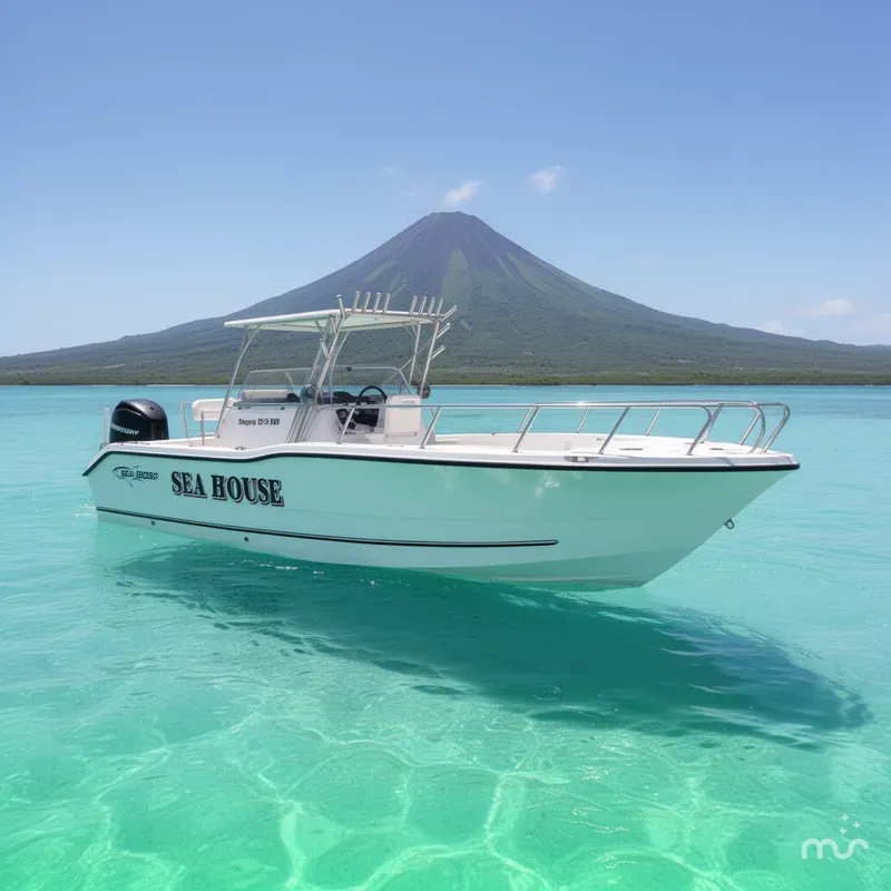 The Image of Sea Boss 255 WA 2007 - 0