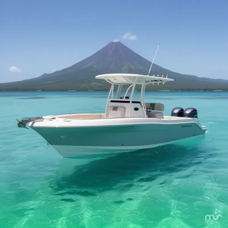 The Image of Century 2301 Center Console 2017 - 0