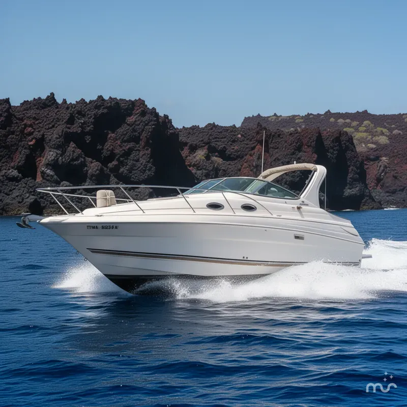 The Image of Wellcraft 2600 Martinique 2003 - 0