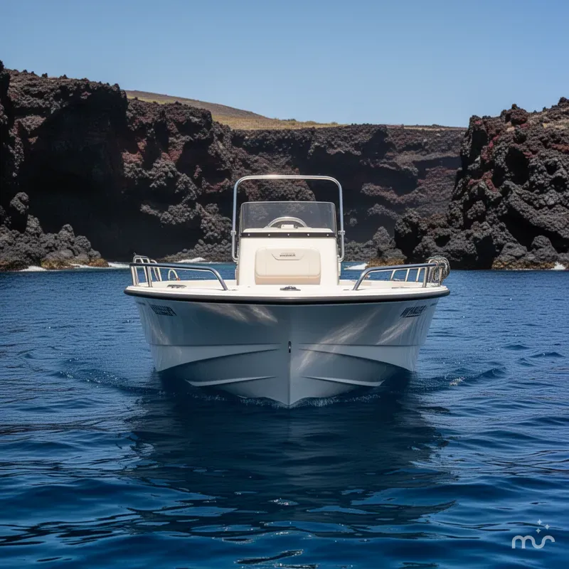 Slide: The Image of Boston Whaler 210 Montauk 2016 - 1