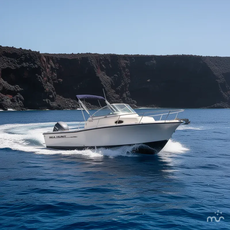 Slide: The Image of Sea Hunt Victory 215 2003 - 4