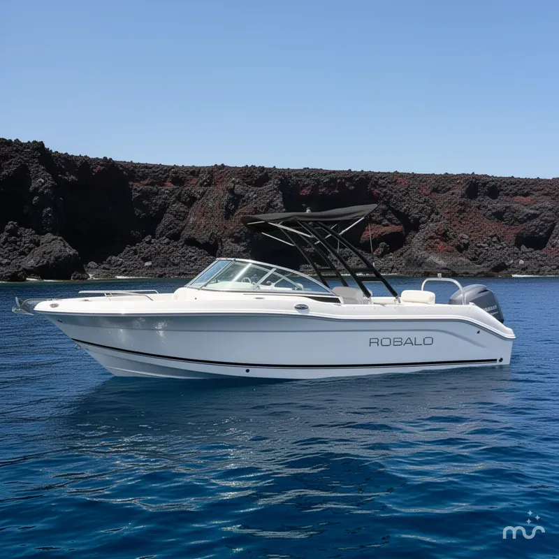 The Image of Robalo R207 Dual Console 2014 - 0