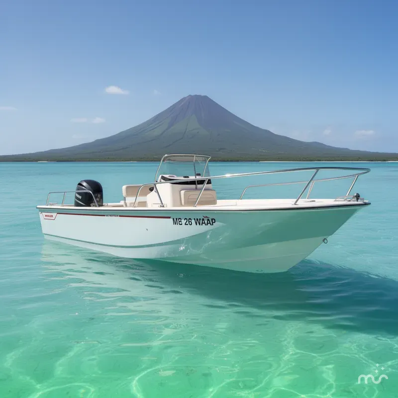 The Image of Boston Whaler 190 Montauk 2025 - 0