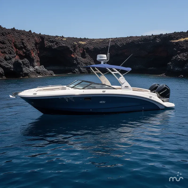 Slide: The Image of Sea Ray SDX 290 Outboard 2018 - 2