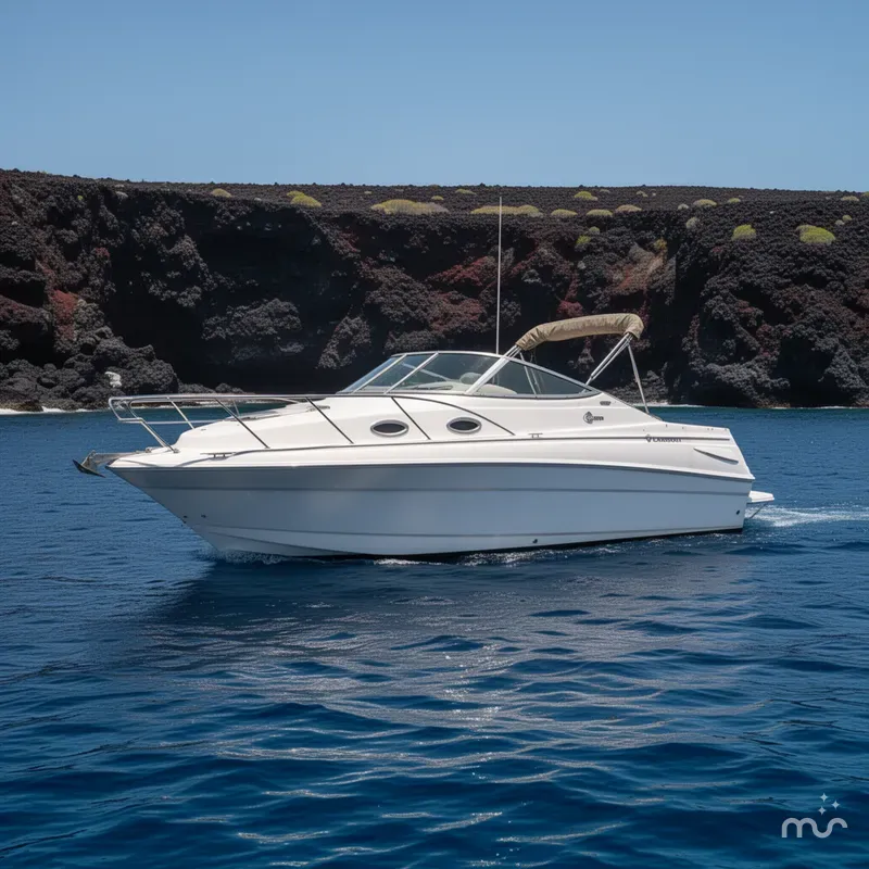 The Image of Larson Cabrio 240 2005 - 0