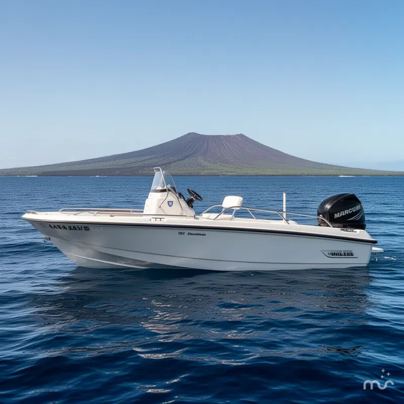 Slide: The Image of Boston Whaler 180 Dauntless 2008 - 2