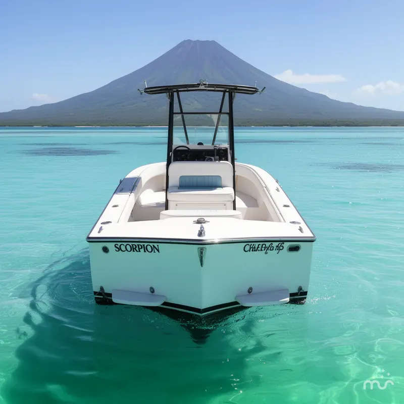 Slide: The Image of Chris-Craft 213 Scorpion 1984 - 3