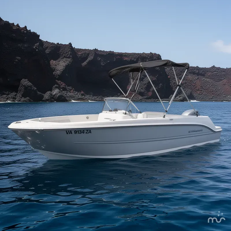 The Image of Stingray 172 DC 2021 - 0