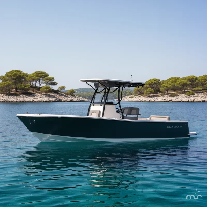 Slide: The Image of Sea Born LX24 Center Console 2022 - 2