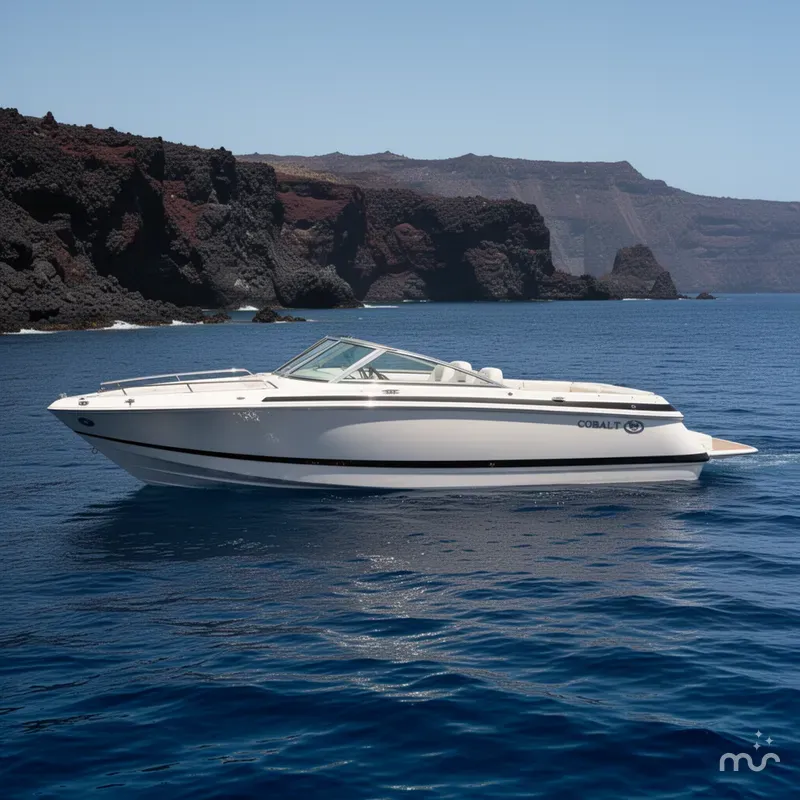 The Image of Cobalt 230BR 2009 - 0
