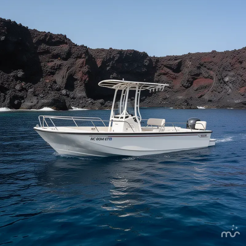 The Image of Boston Whaler 190 Montauk 2022 - 0