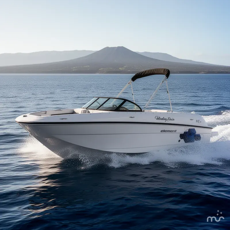 Slide: The Image of Bayliner E21 2017 - 4