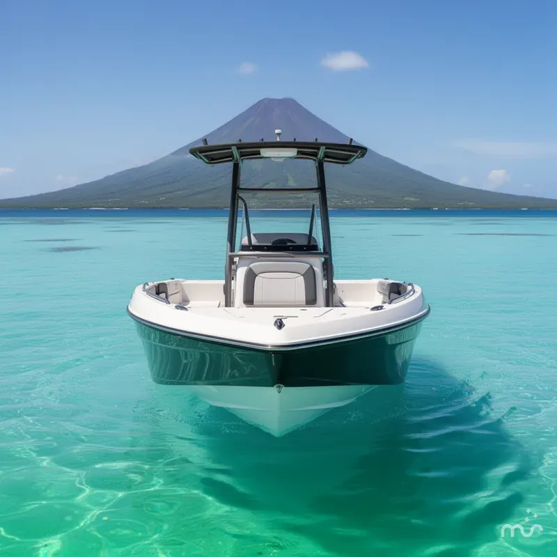 Slide: The Image of Yamaha 210 fish 2019 - 1