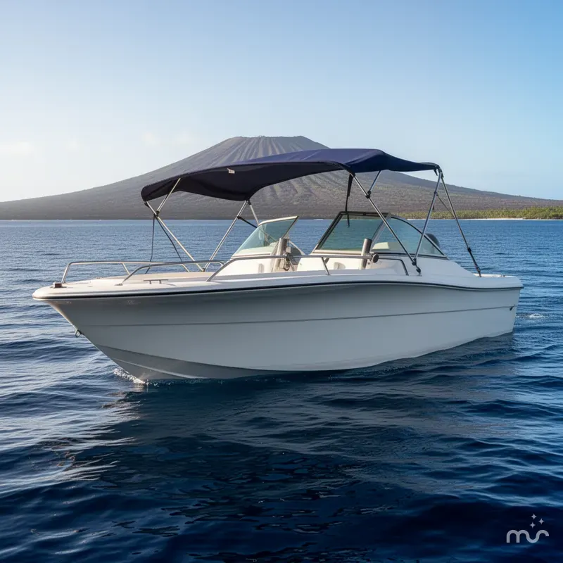The Image of Sailfish 198 DC 2001 - 0