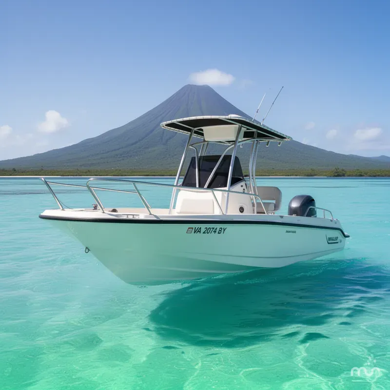 The Image of Boston Whaler 210 Dauntless 2014 - 0