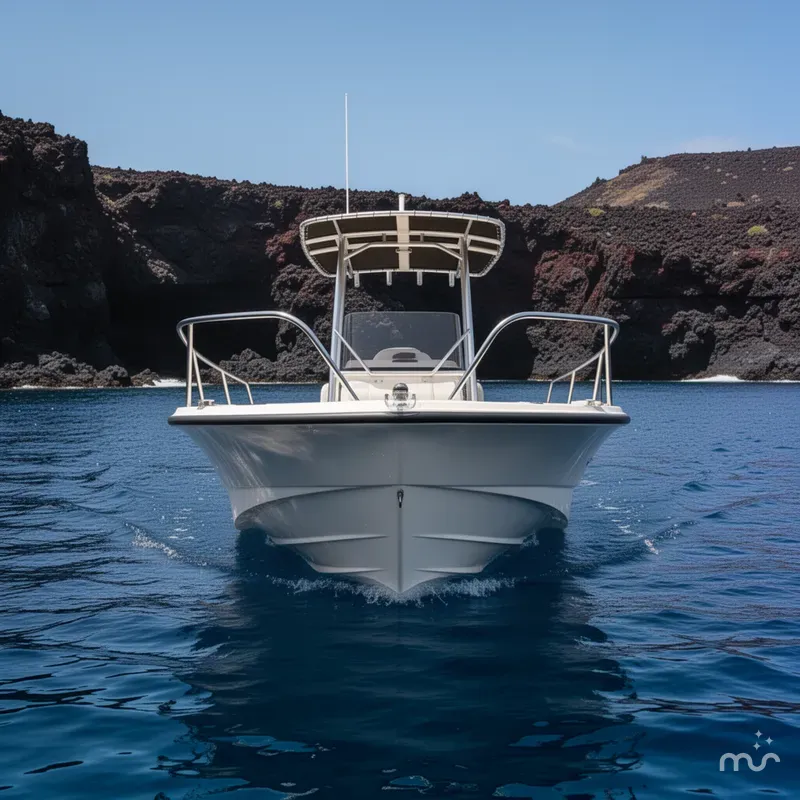 Slide: The Image of Boston Whaler 210 Montauk 2018 - 1