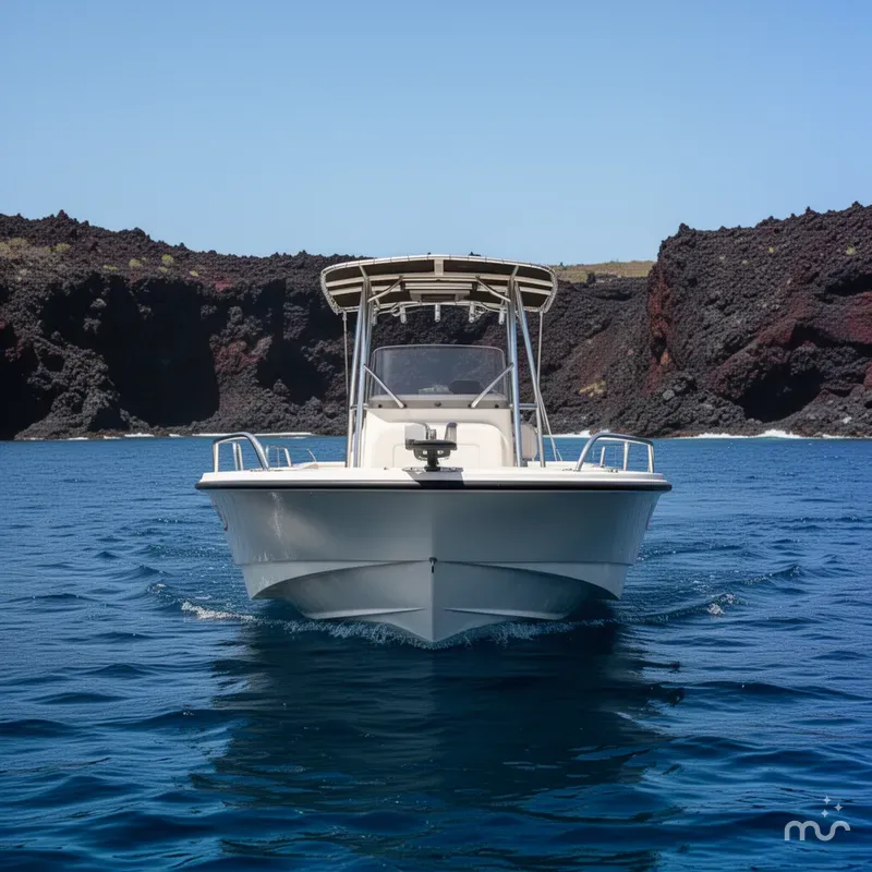 Slide: The Image of Boston Whaler 210 Montauk 2017 - 1