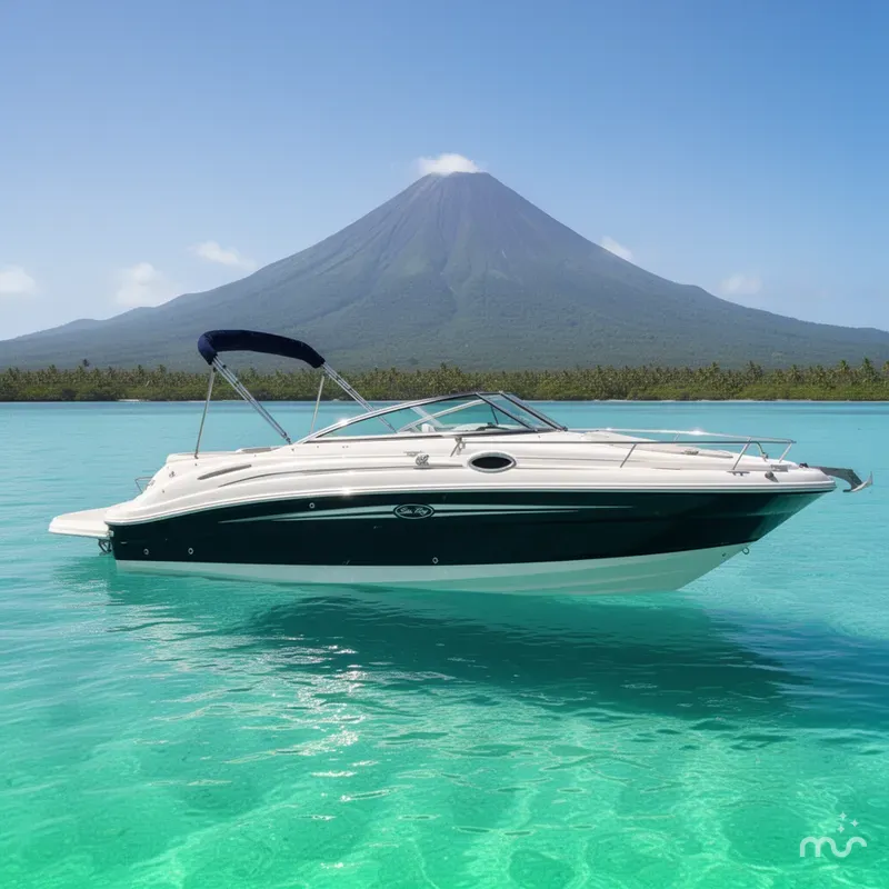 The Image of Sea Ray 240 Sundeck 2008 - 0