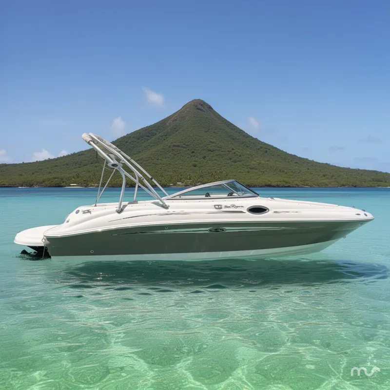 The Image of Sea Ray 240 Sundeck 2008 - 0