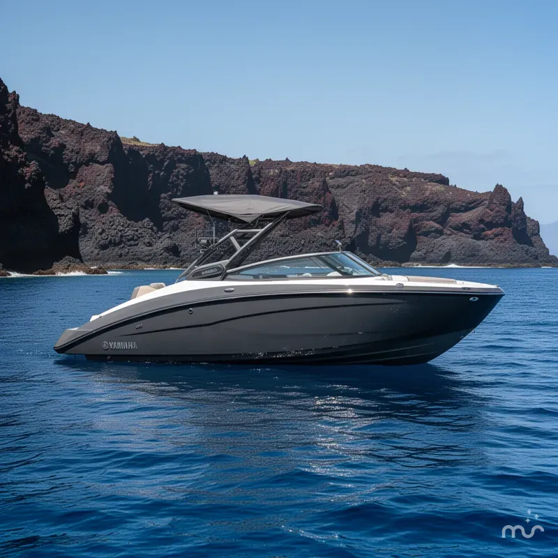 The Image of Yamaha 255XD 2026 - 0
