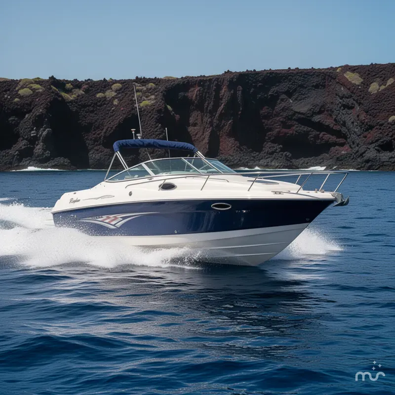 Slide: The Image of Rinker 262 Captiva 2005 - 4