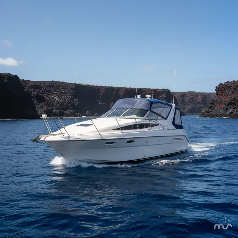 The Image of Bayliner 285 2005 - 0