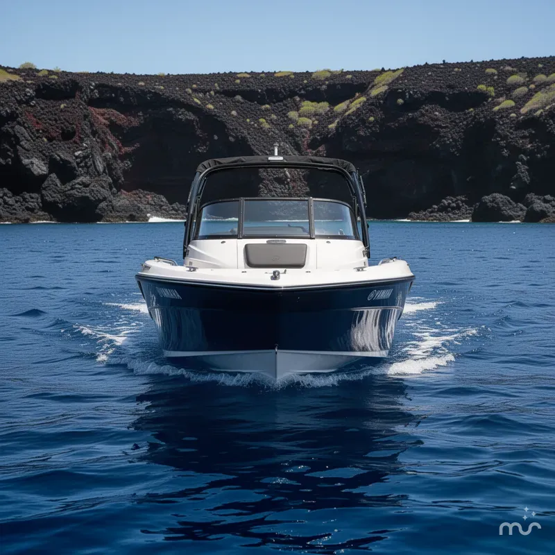 Slide: The Image of Yamaha 222XD 2023 - 3