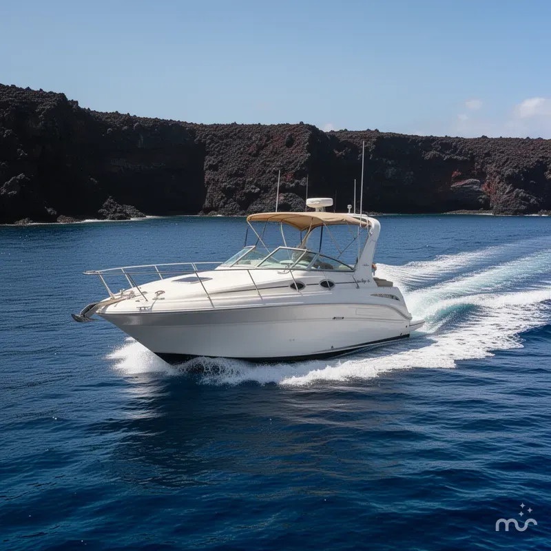 The Image of Sea Ray Sundancer 260 1999 - 0