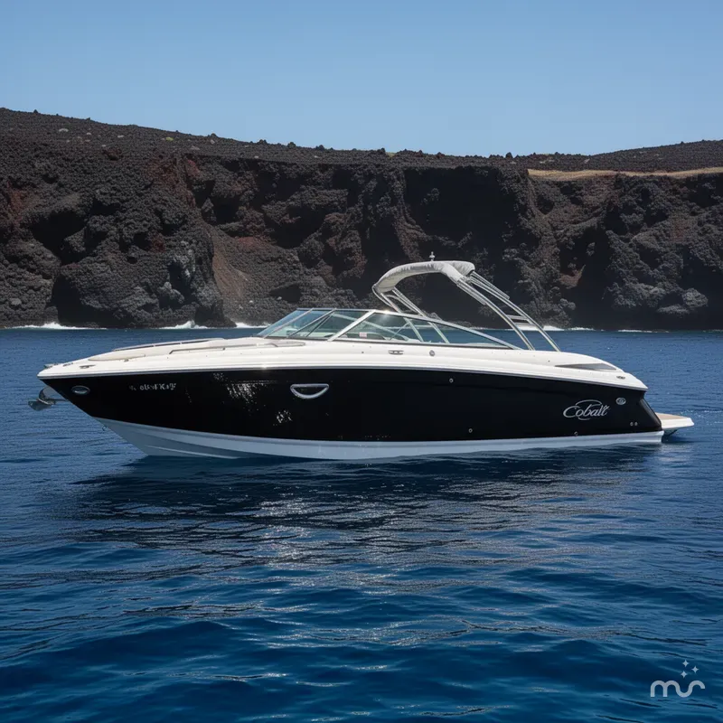 The Image of Cobalt 302 2011 - 0
