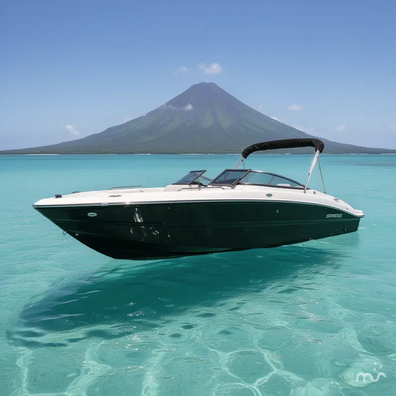 The Image of Stingray 23 OSX 2026 - 0