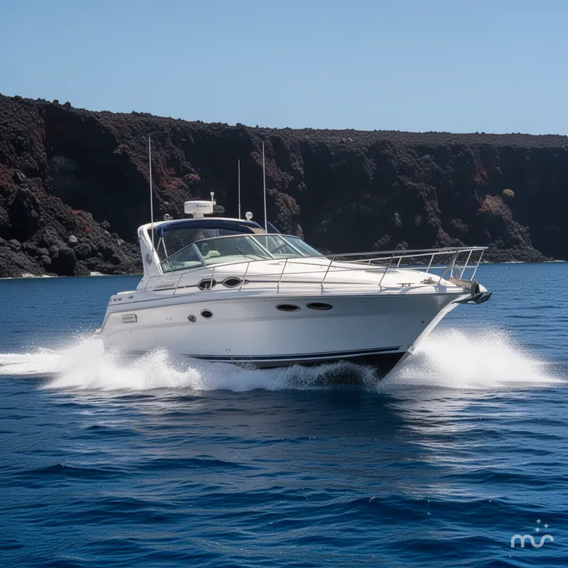 Slide: The Image of Sea Ray Sundancer 330 1993 - 2