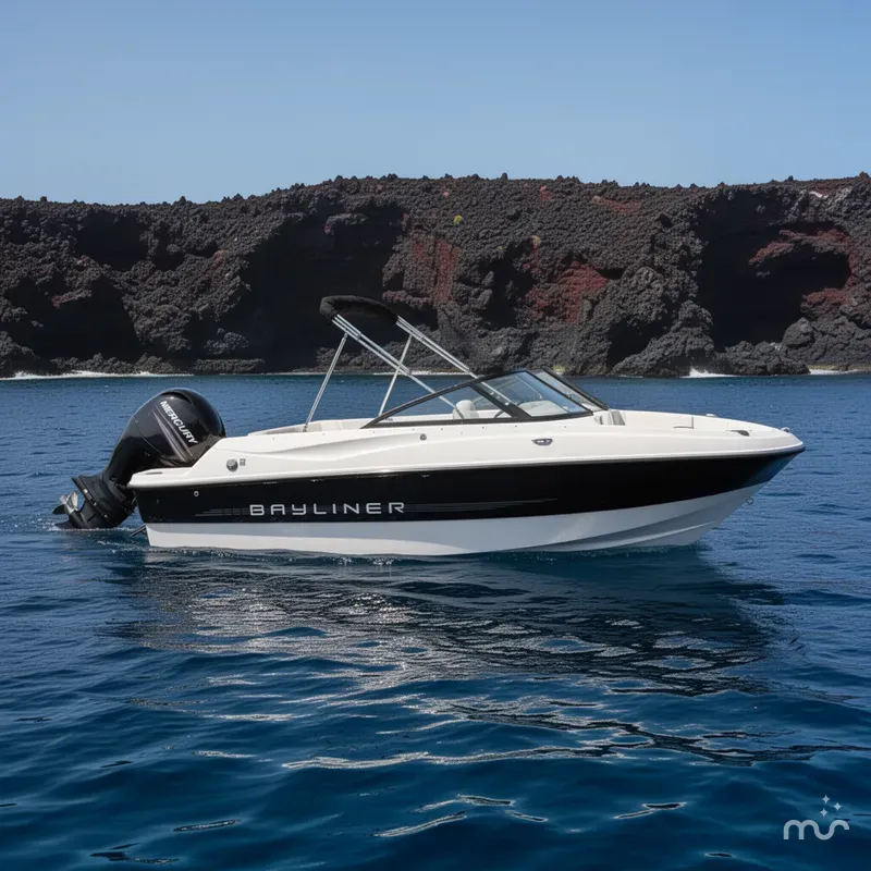 The Image of Bayliner 190BR 2013 - 0
