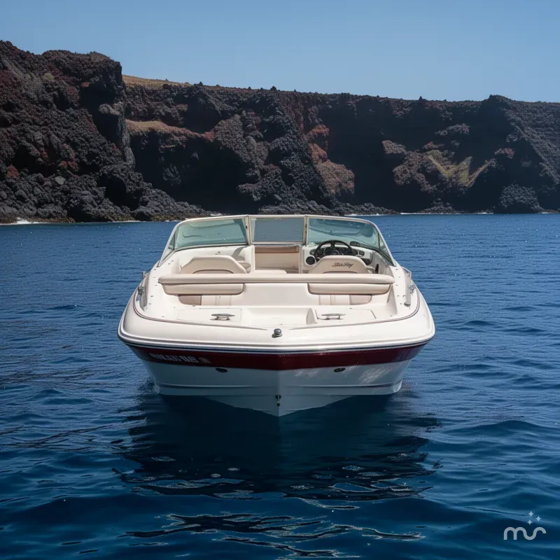 Slide: The Image of Sea Ray 200 1993 - 3