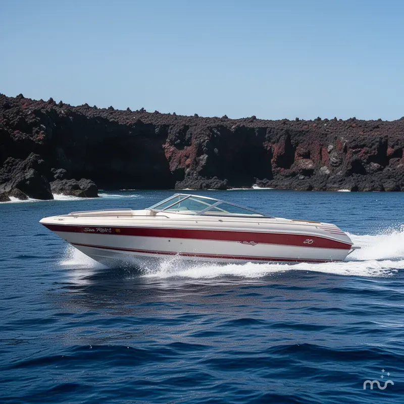 Slide: The Image of Sea Ray 200 1993 - 4