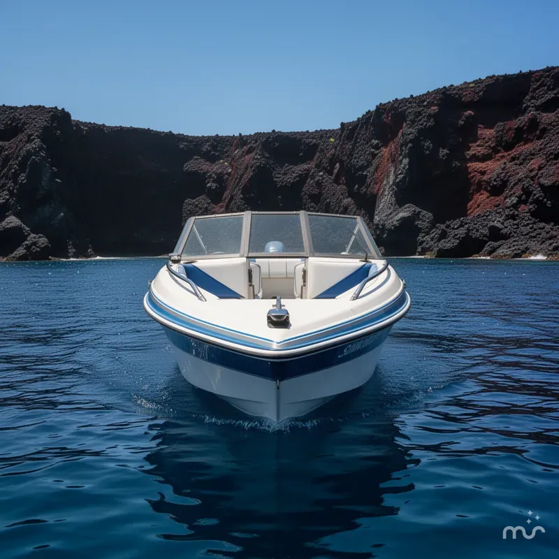 Slide: The Image of Sunbird Corsair 1991 - 1