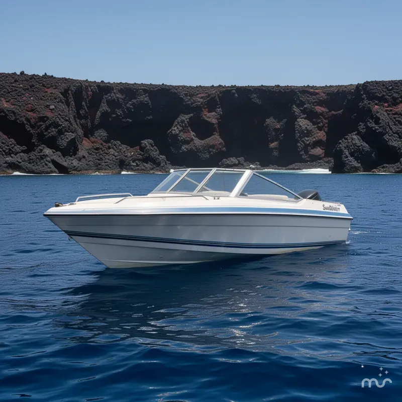 Slide: The Image of Sunbird Corsair 1991 - 2