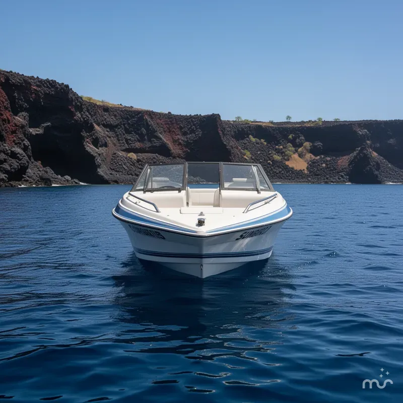 Slide: The Image of Sunbird Corsair 1991 - 3