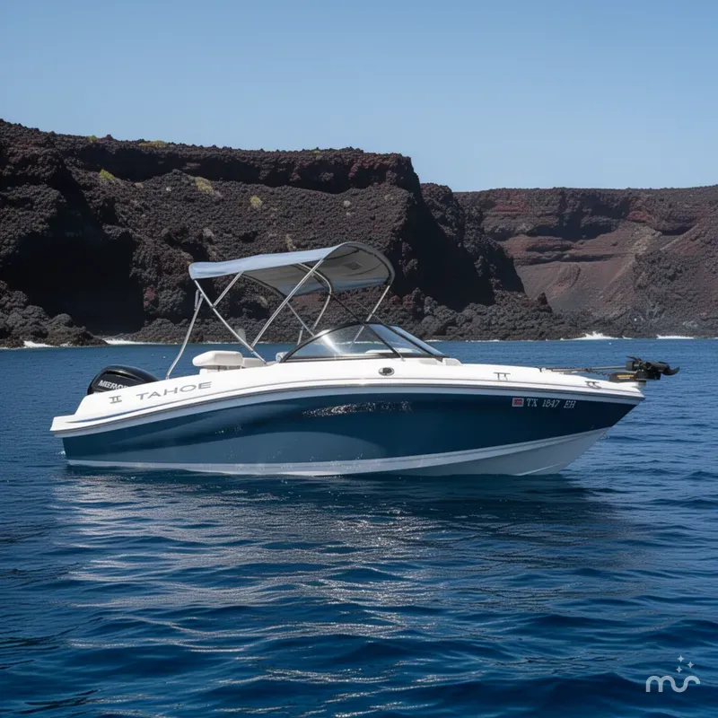 Slide: The Image of Tahoe 450 TF 2018 - 2
