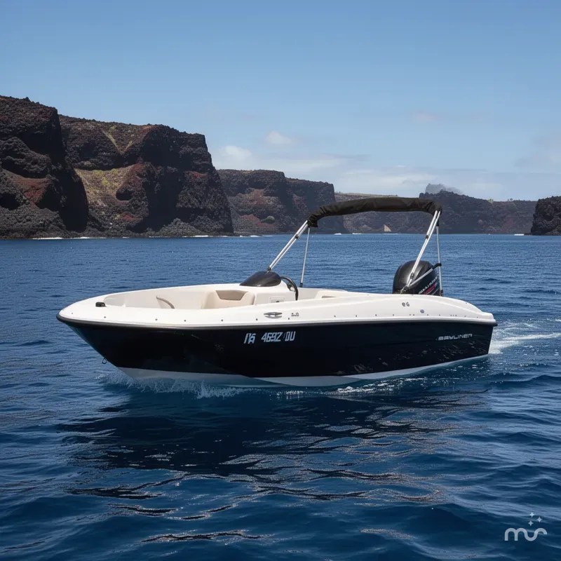 Slide: The Image of Bayliner 16 Element 2018 - 2