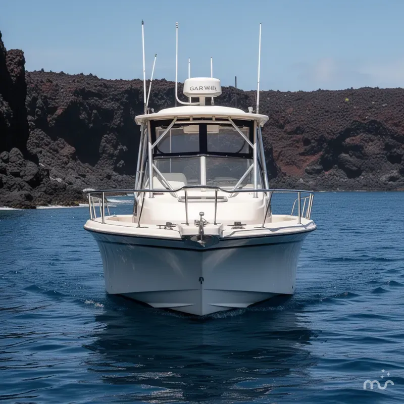 Slide: The Image of Grady-White Seafarer 226 2001 - 1