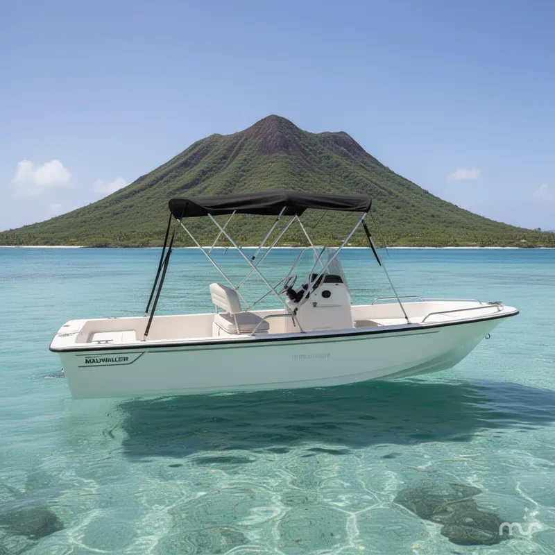 Slide: The Image of Boston Whaler 17 Montauk 2024 - 2