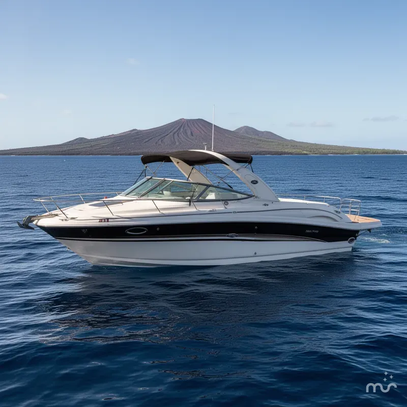 The Image of Sea Ray 290 Bowrider 2003 - 0