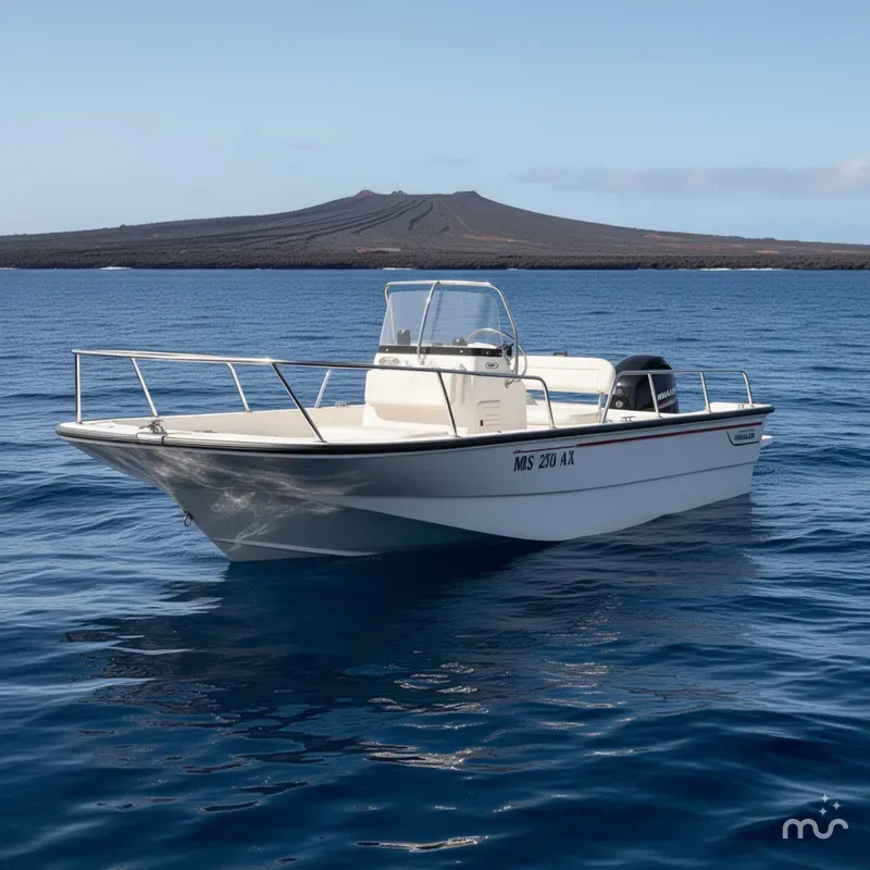 The Image of Boston Whaler 170 Montauk 2010 - 0