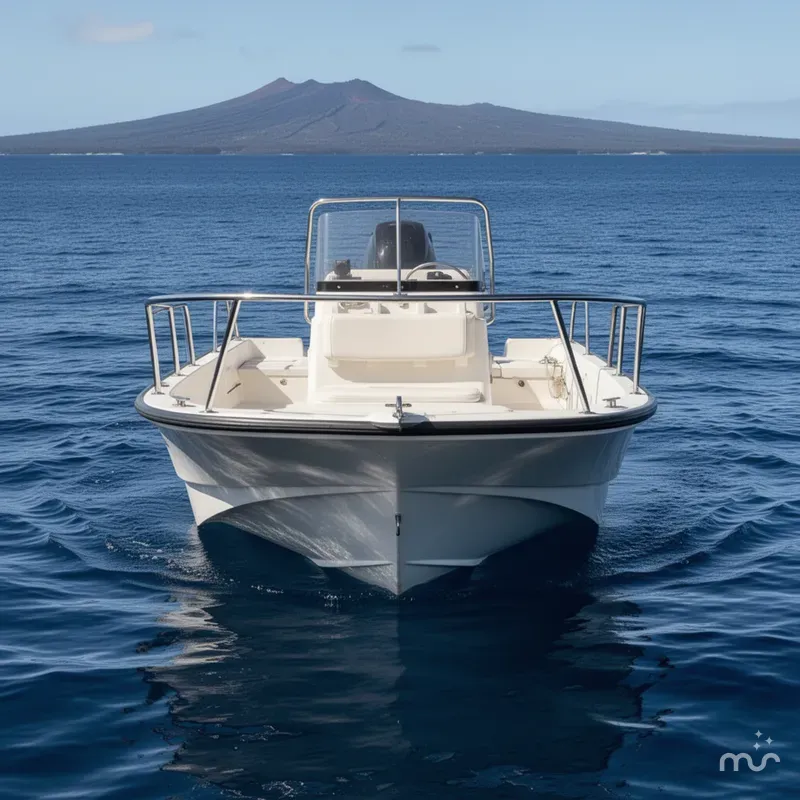 Slide: The Image of Boston Whaler 170 Montauk 2010 - 1