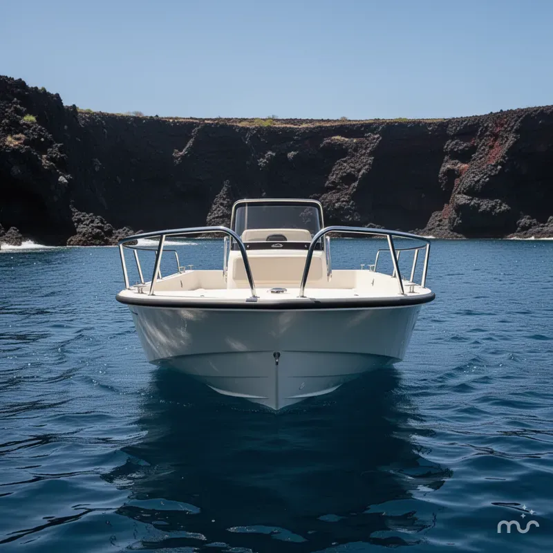 Slide: The Image of Boston Whaler 170 Montauk 2021 - 1