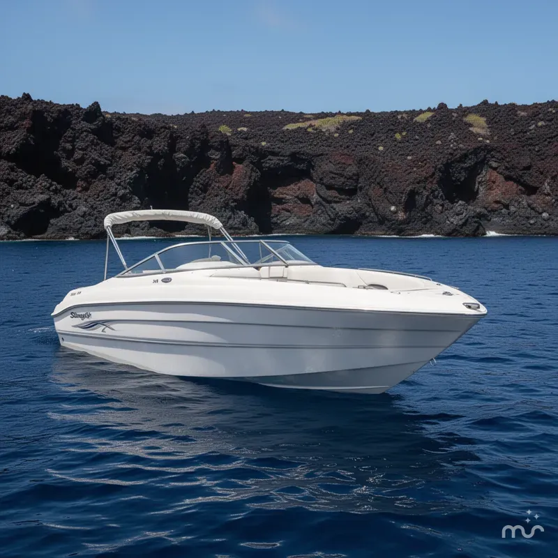The Image of Stingray 240 LR Bowrider 2004 - 0