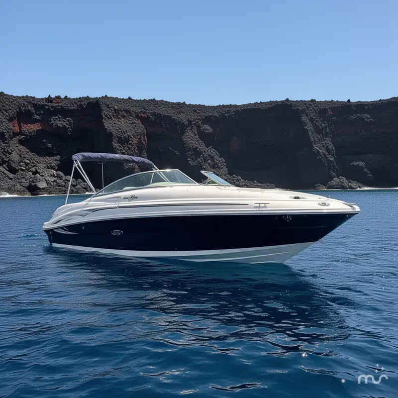 The Image of Sea Ray 220 Sundeck 2005 - 0