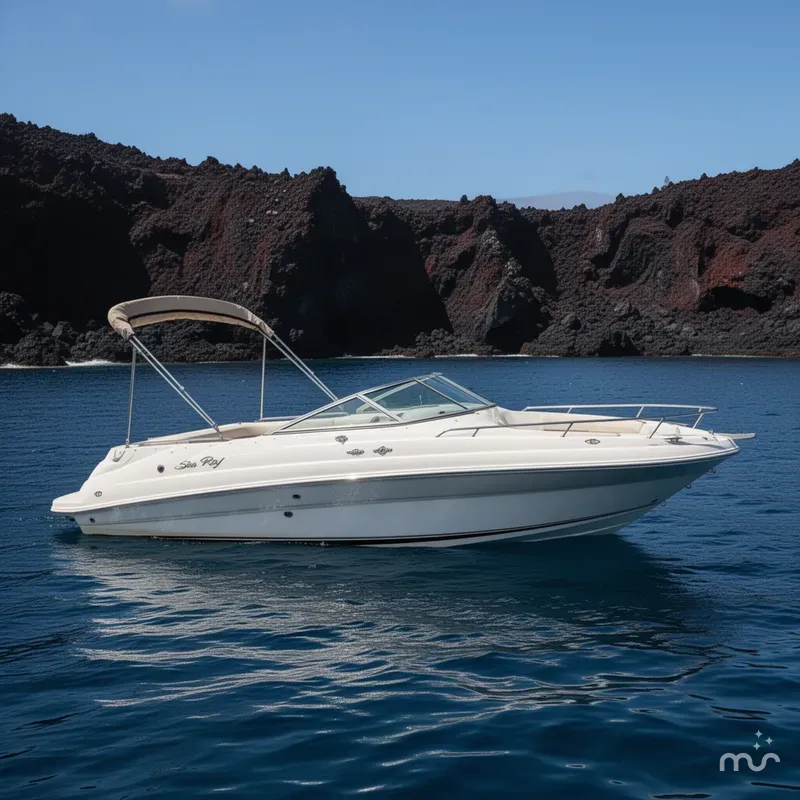 The Image of Sea Ray 240 Sundeck 1997 - 0