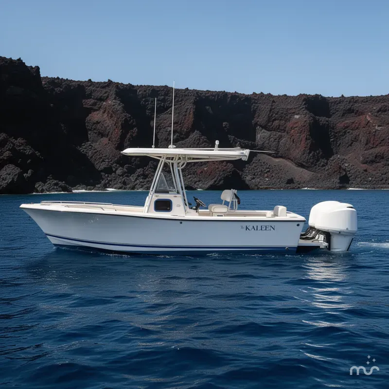 The Image of Regulator Marine 26 Center Console 2001 - 0